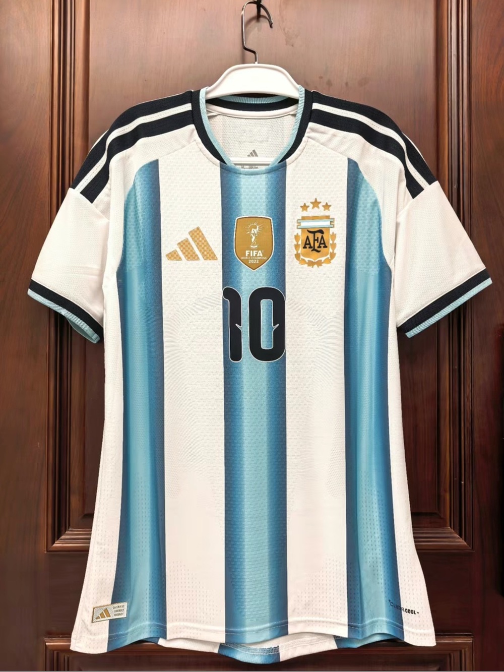 Argentina #10 2026 World Cup Soccer Jersey M Like New